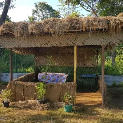 අවුරුදු උත්සවය